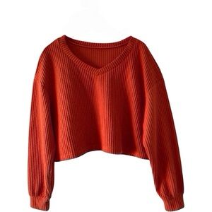 Rust Waffle Knit Cropped Sweater 1X | Winter Cozy Core